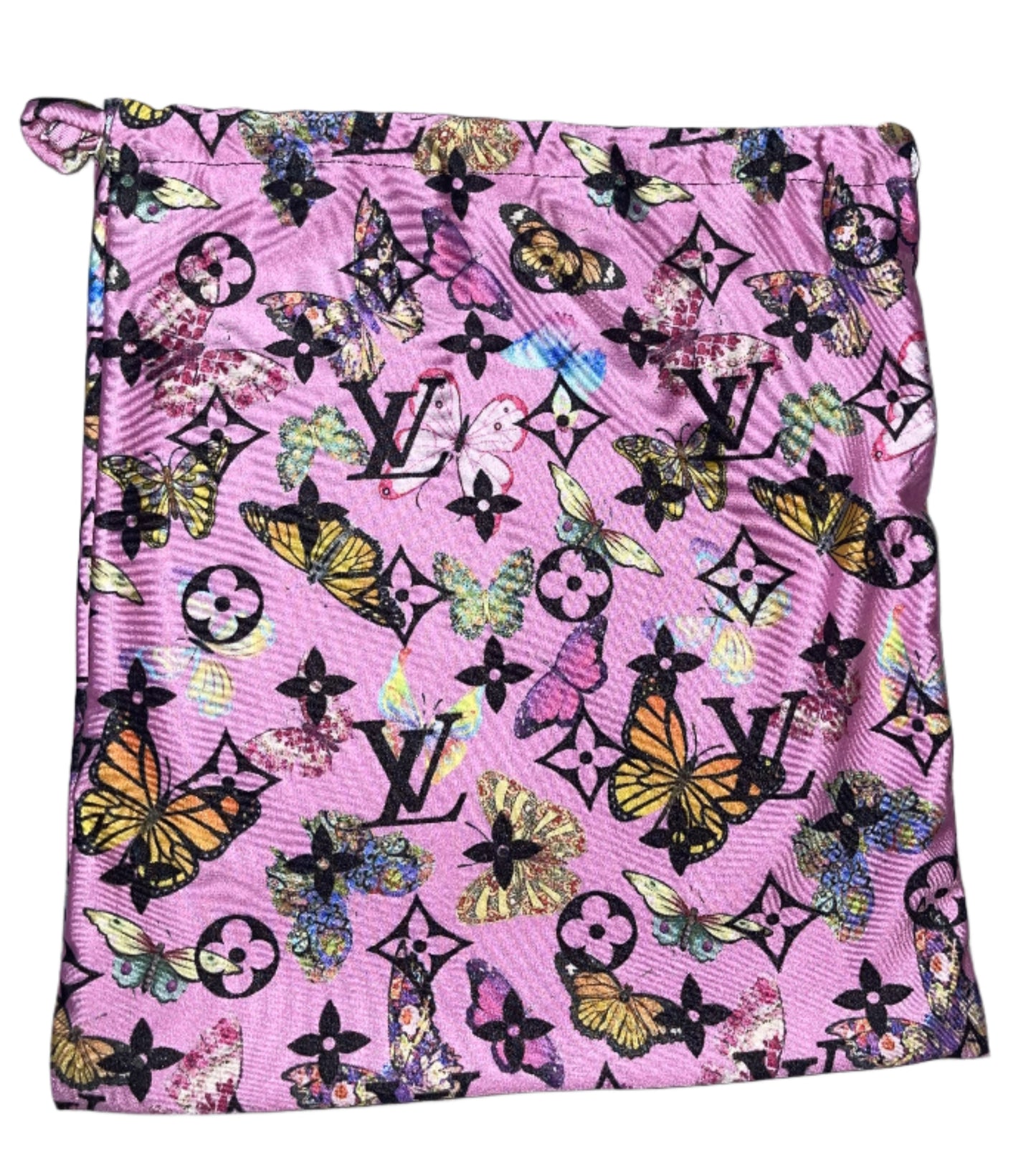 Money Bag: Butterfly LV