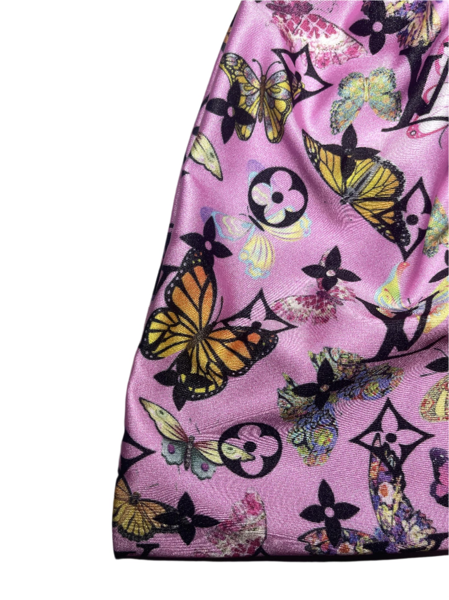 Money Bag: Butterfly LV